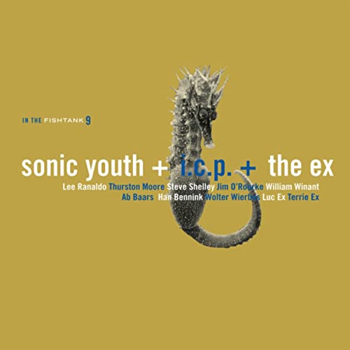 Sonic Youth – In The Fishtank 9