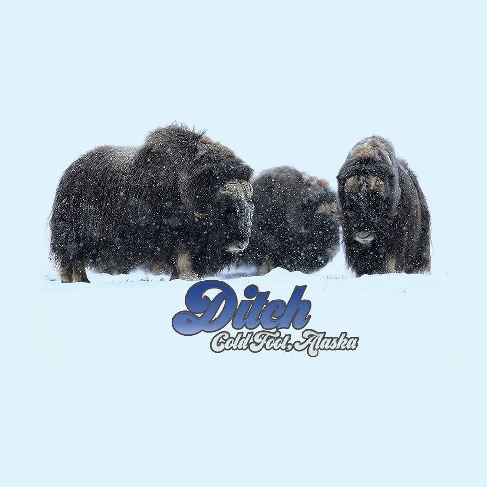 Ditch – Cold foot, Alaska